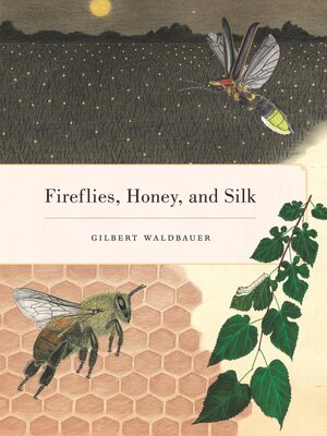 cover image of Fireflies, Honey, and Silk